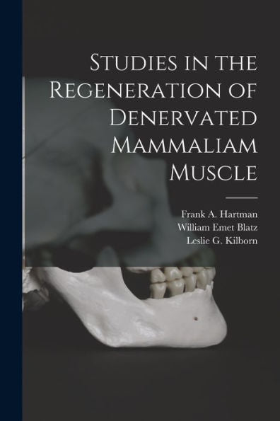 Studies In The Regeneration Of Denervated Mammaliam Muscle [Microform]