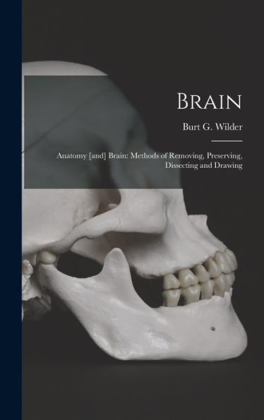 Brain: Anatomy [And] Brain: Methods Of Removing, Preserving, Dissecting And Drawing