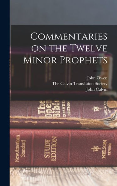 Commentaries On The Twelve Minor Prophets - 9781017164916