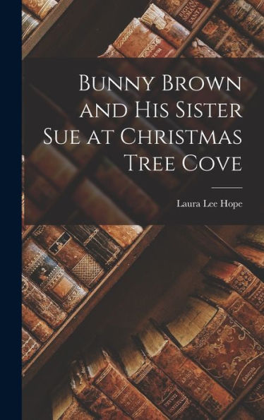 Bunny Brown And His Sister Sue At Christmas Tree Cove