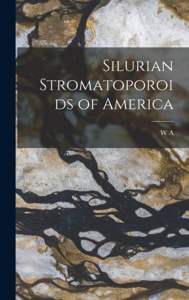 Silurian Stromatoporoids Of America - 9781017711592