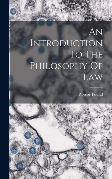 An Introduction To The Philosophy Of Law - 9781017760798