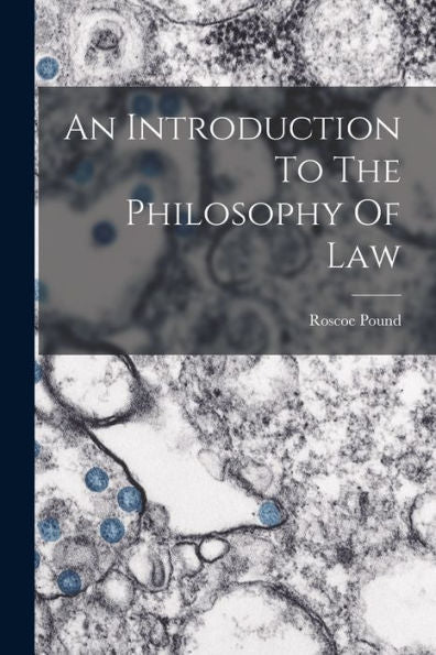 An Introduction To The Philosophy Of Law - 9781017765663