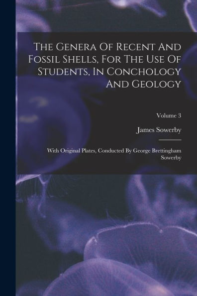 The Genera Of Recent And Fossil Shells, For The Use Of Students, In Conchology And Geology: With Original Plates, Conducted By George Brettingham Sowerby; Volume 3 - 9781017836622