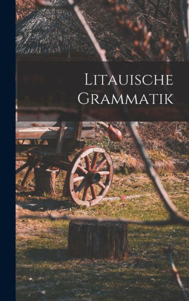 Litauische Grammatik (German Edition) - 9781017997743