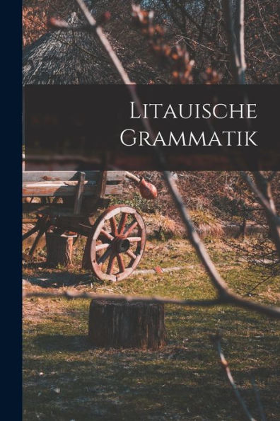 Litauische Grammatik (German Edition) - 9781018002675