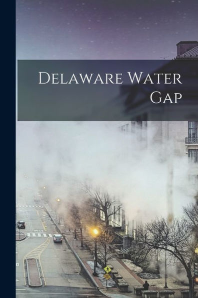 Delaware Water Gap - 9781018525389