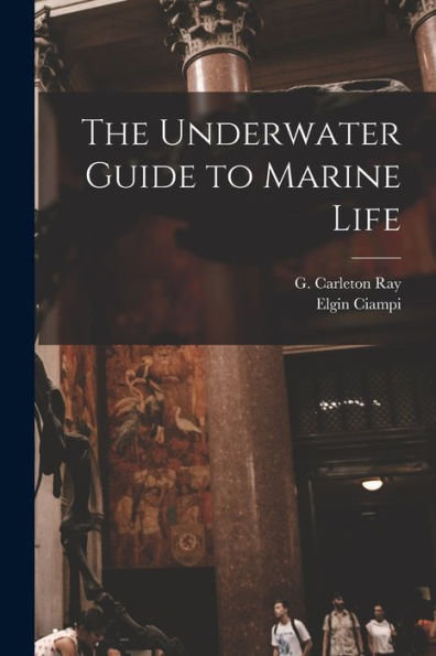 The Underwater Guide To Marine Life