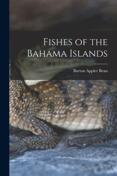 Fishes Of The Bahama Islands
