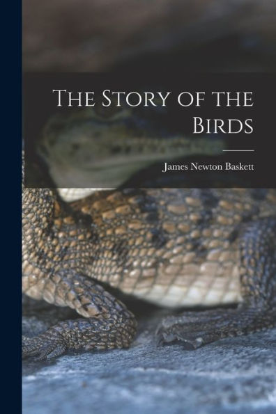 The Story Of The Birds