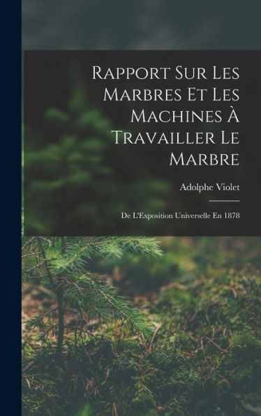 Rapport Sur Les Marbres Et Les Machines À Travailler Le Marbre: De L'Exposition Universelle En 1878 (French Edition)