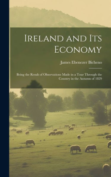 Ireland And Its Economy: Being The Result Of Observations Made In A Tour Through The Country In The Autumn Of 1829 - 9781020308918