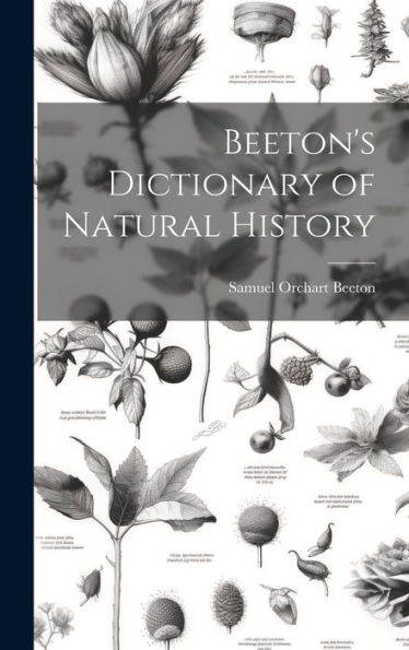 Beeton's Dictionary Of Natural History