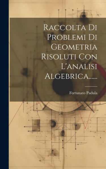 Raccolta Di Problemi Di Geometria Risoluti Con L'Analisi Algebrica...... (Italian Edition)