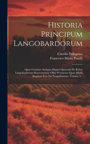 Historia Principum Langobardorum: Quae Continet Antiqua Aliquot Opuscula De Rebus Langobardorum Beneventanae Olim Provinciae Quae Modo Regnum Fere Est Neapolitanum, Volume 3... (Latin Edition)