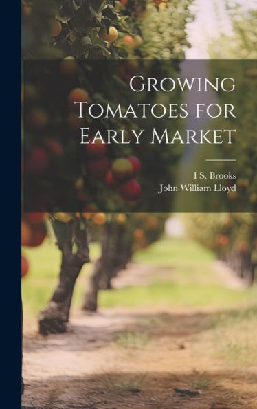 Growing Tomatoes For Early Market