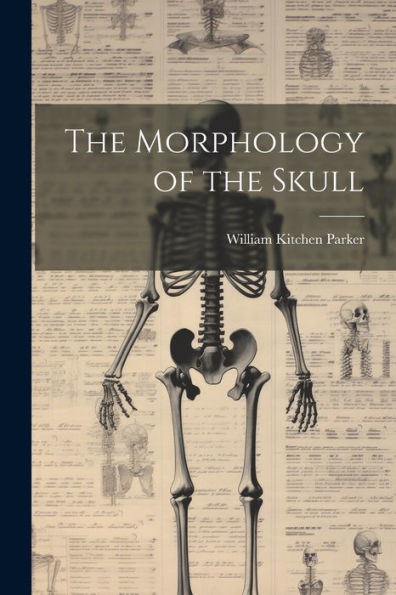 The Morphology Of The Skull