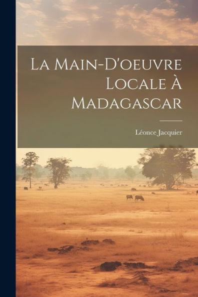 La Main-D'Oeuvre Locale À Madagascar (French Edition)