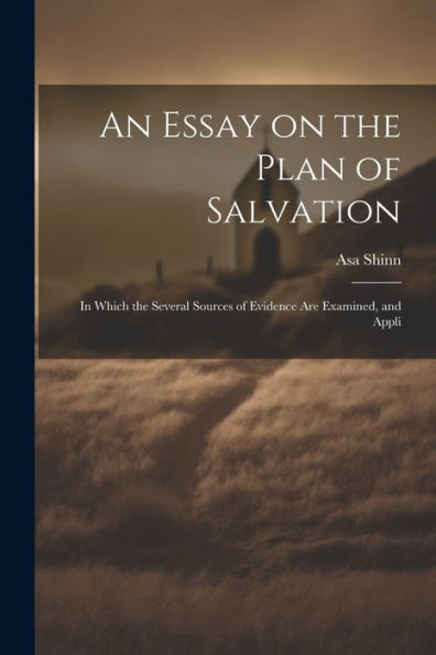 An Essay On The Plan Of Salvation: In Which The Several Sources Of Evidence Are Examined, And Appli