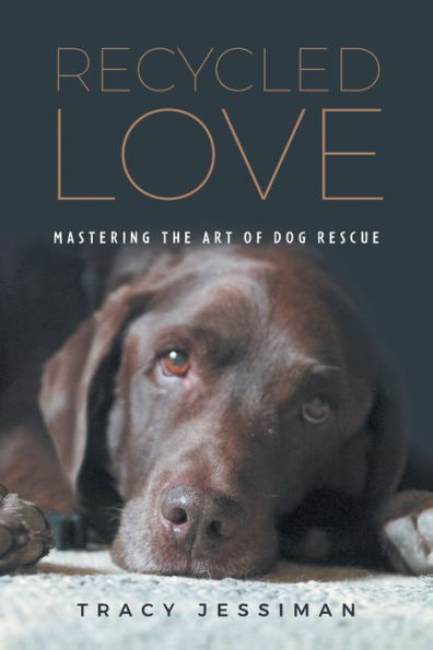 Recycled Love: Mastering The Art Of Dog Rescue