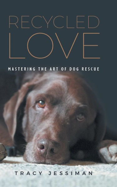 Recycled Love: Mastering The Art Of Dog Rescue