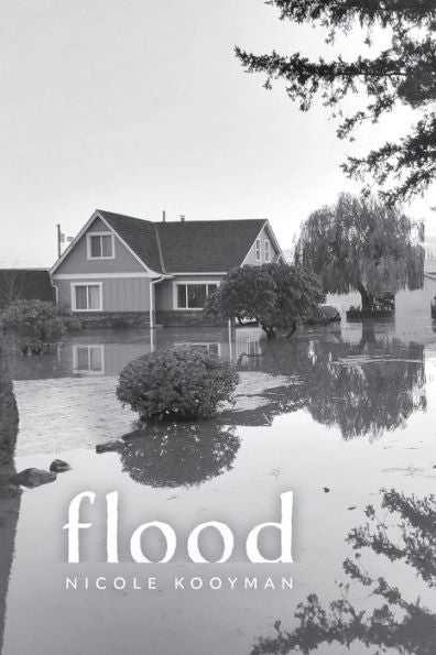 Flood