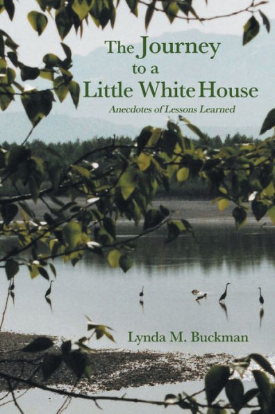 The Journey To A Little White House: Anecdotes Of Lessons Learned