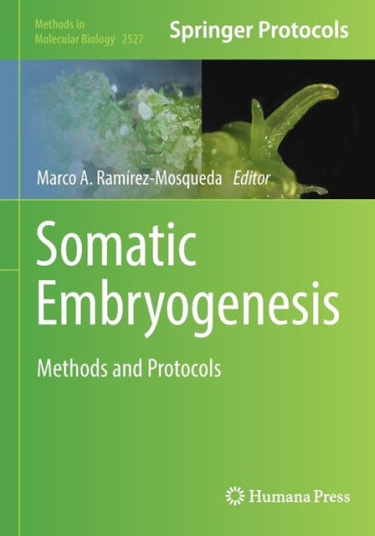 Somatic Embryogenesis: Methods And Protocols (Methods In Molecular Biology, 2527)