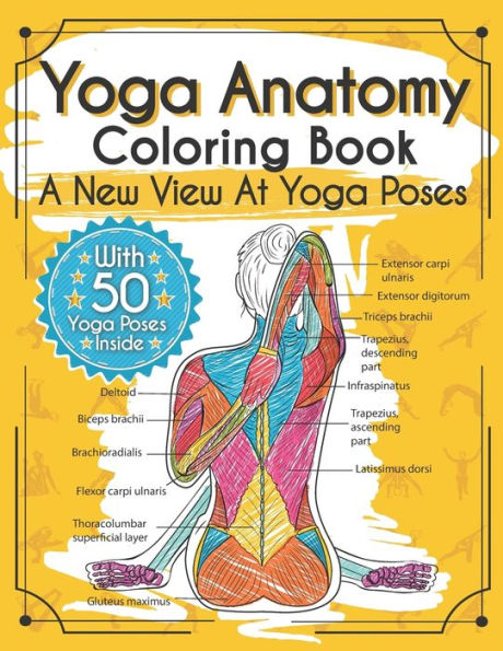 Yoga Anatomy Coloring Book: A New View At Yoga Poses