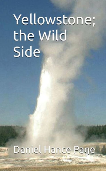 Yellowstone; The Wild Side