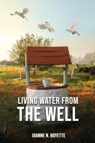 Living Water From The Well