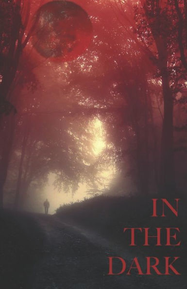In The Dark - 9781094731926