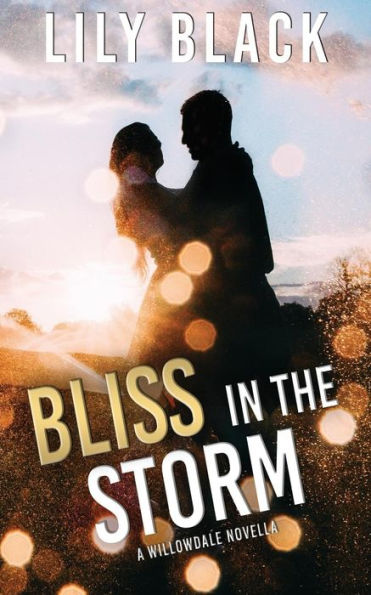Bliss In The Storm: A Willowdale Novella