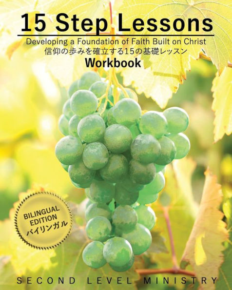 15 Step Lessons - Workbook: Developing A Foundation Of Faith Built On Christ