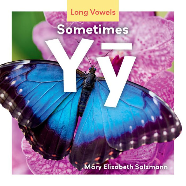 Sometimes Yy (Long Vowels)