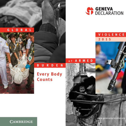 Global Burden Of Armed Violence 2015: Every Body Counts