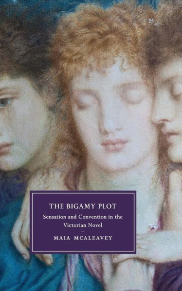 The Bigamy Plot: Sensation And Convention In The Victorian Novel (Cambridge Studies In Nineteenth-Century Literature And Culture, Series Number 100)