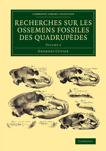 Recherches Sur Les Ossemens Fossiles Des Quadrupèdes (Cambridge Library Collection - Earth Science) (Volume 4)