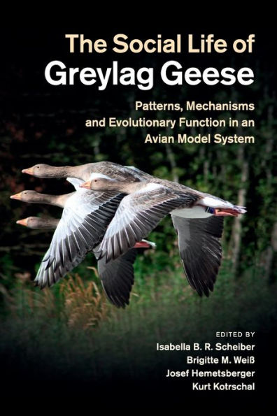 The Social Life Of Greylag Geese: Patterns, Mechanisms And Evolutionary Function In An Avian Model System
