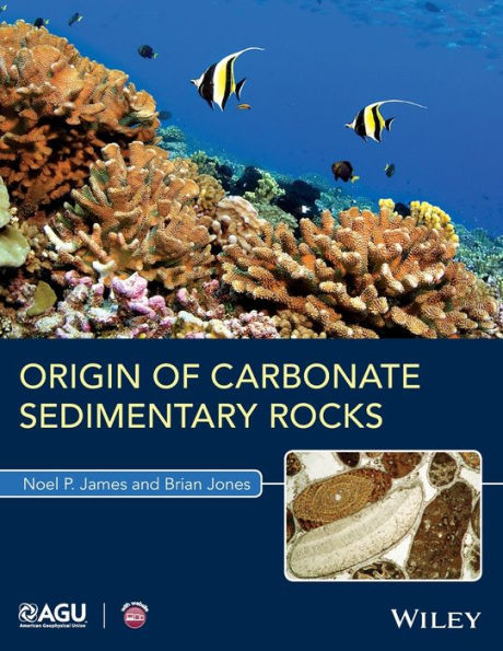 Origin Of Carbonate Sedimentary Rocks (Wiley Works) - 9781118652732