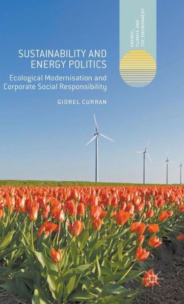 Sustainability And Energy Politics: Ecological Modernisation And Corporate Social Responsibility (Energy, Climate And The Environment)