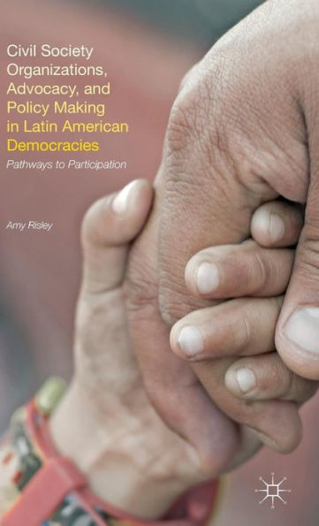 Civil Society Organizations, Advocacy, And Policy Making In Latin American Democracies: Pathways To Participation