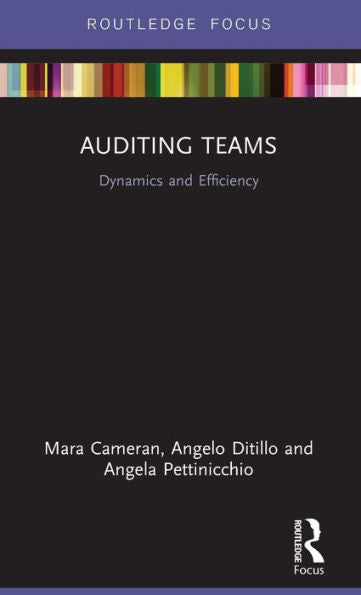 Auditing Teams (Routledge Focus On Business And Management)