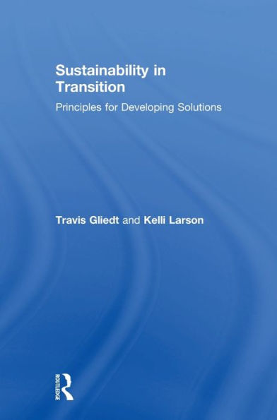 Sustainability In Transition: Principles For Developing Solutions