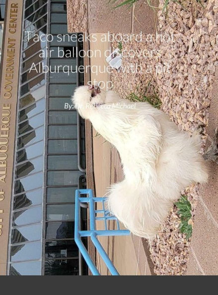 Taco Sneaks Aboard A Hot Air Balloon Discovers Alburquerque With A Pit Stop In San Antonio And The Owl: By: Dr. Rebecca Michael