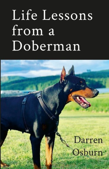 Life Lessons Of A Doberman