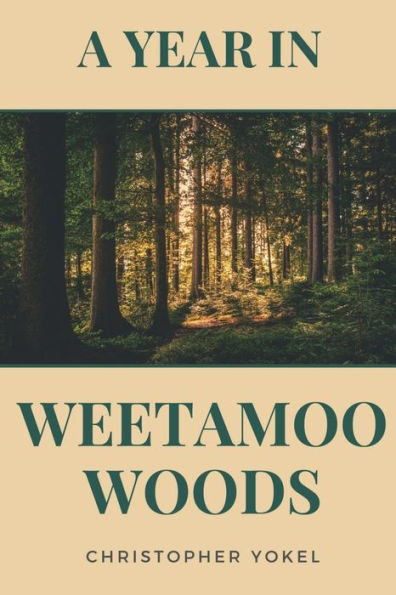 A Year In Weetamoo Woods