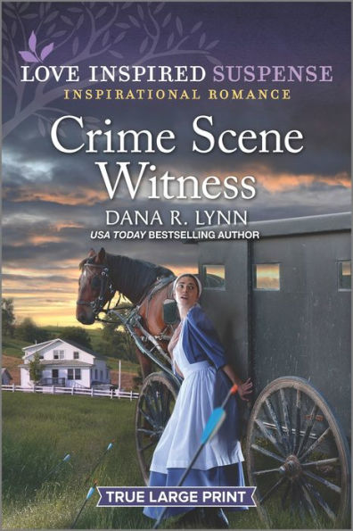 Crime Scene Witness (Amish Country Justice, 15)