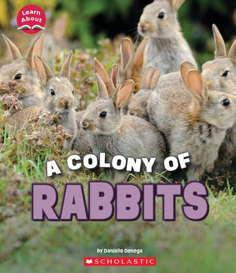 A Colony Of Rabbits (Learn About: Animals)