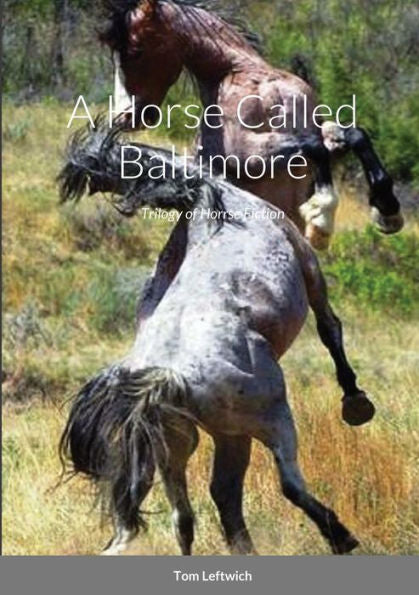 A Horse Called Baltimore: Trilogy Of Horrse Fiction